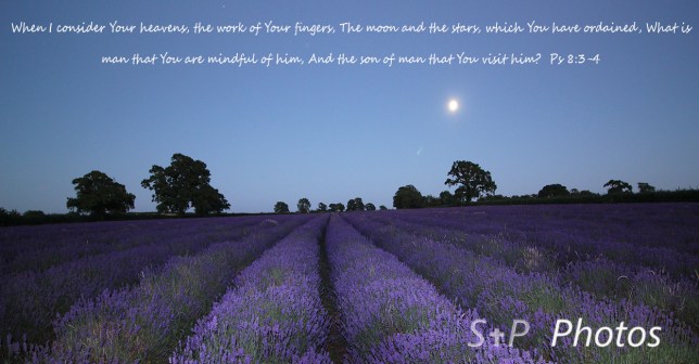 5cd9e13b-e4f4-44d5-9948-bd03cf9bb458